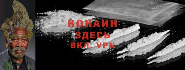 бошки Бородино