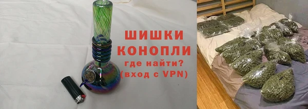 дурь Бронницы