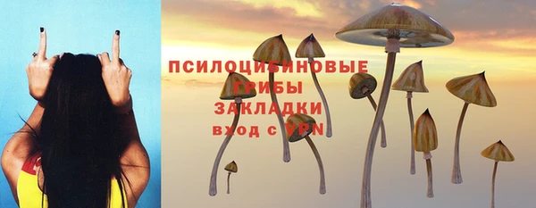 бошки Бородино