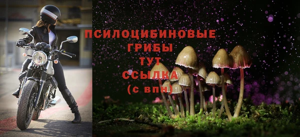 хмурый Бугульма