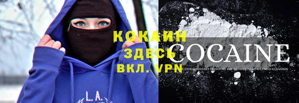 дурь Бронницы