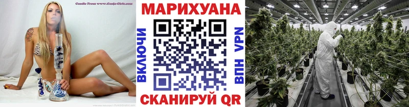 Шишки марихуана индика  Нолинск 